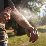 Natural Remedies for Mosquito and Fly Control