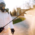 Eco-Friendly Pest Control Methods That Work