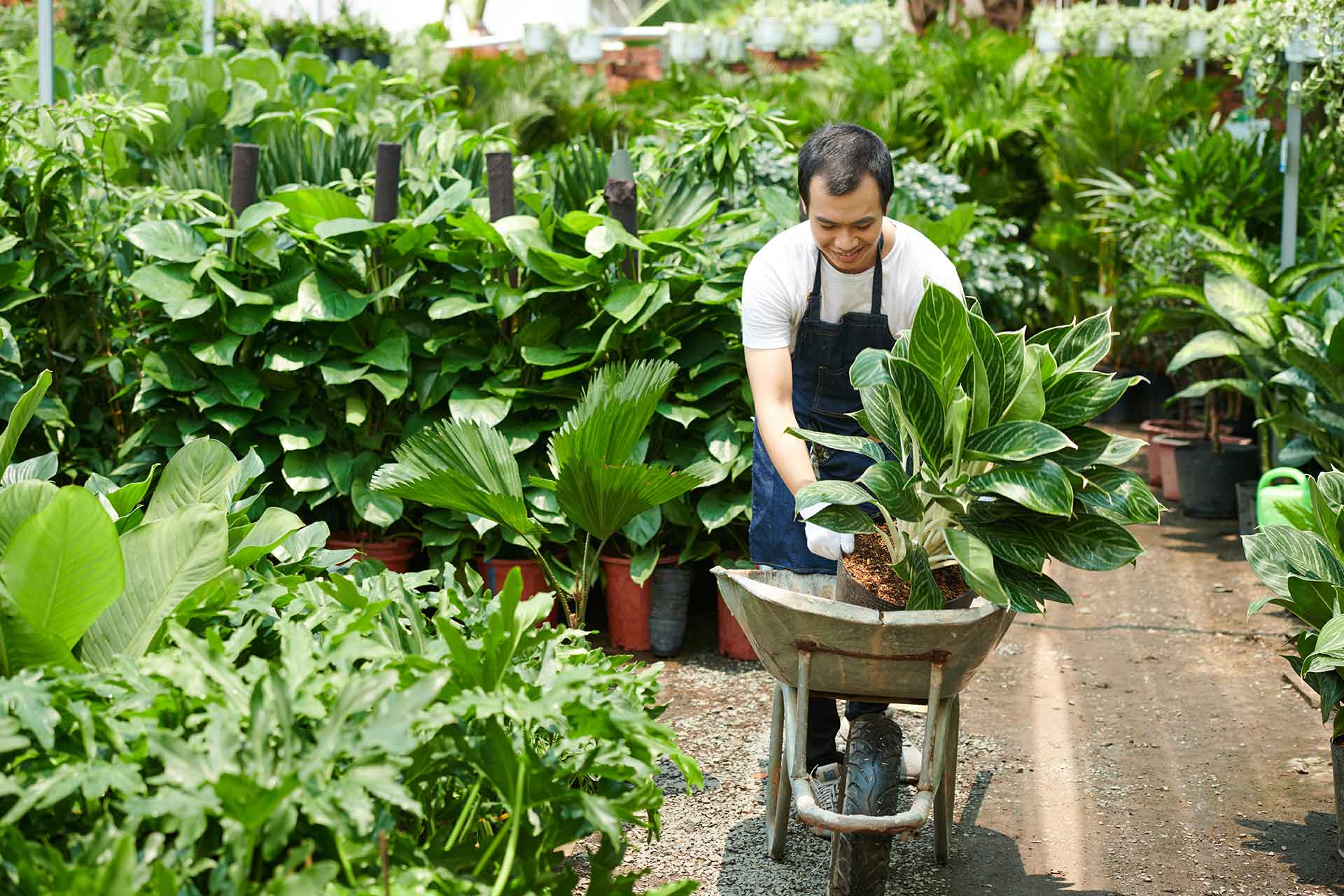 Sustainable Landscaping Ideas for Your Home